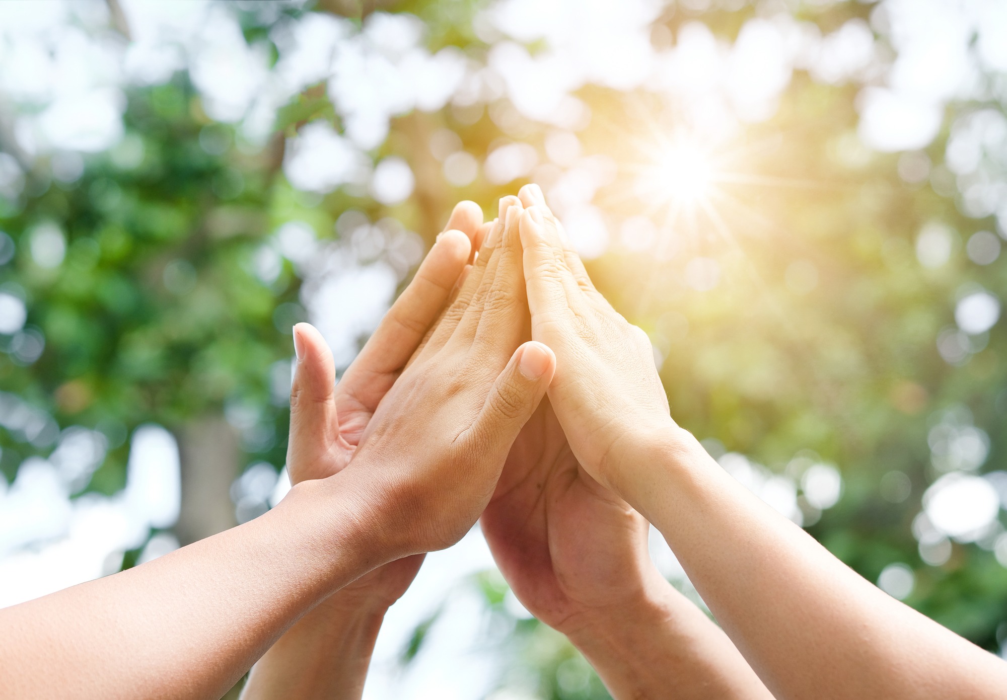 Four hand up of people working assemble corporate meeting show symbol Join forces teamwork quality and effective personnel.Concept organizational development in teamwork and business.